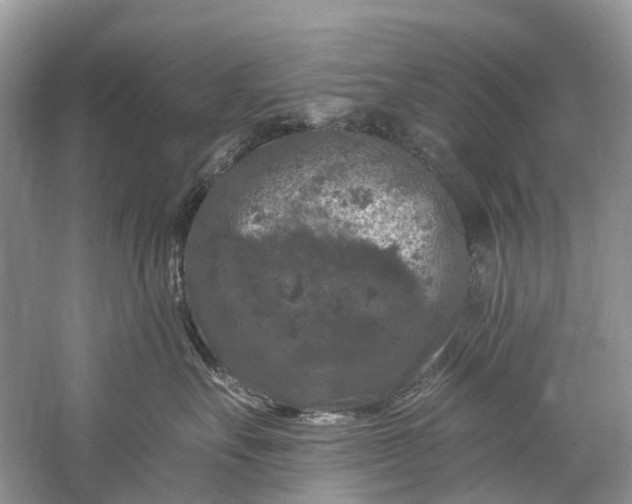 X0000061150527200512022318