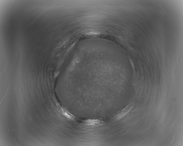 X0000061150528200512022318