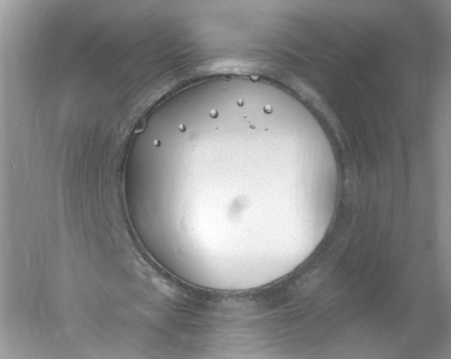 X0000061150529200512022317