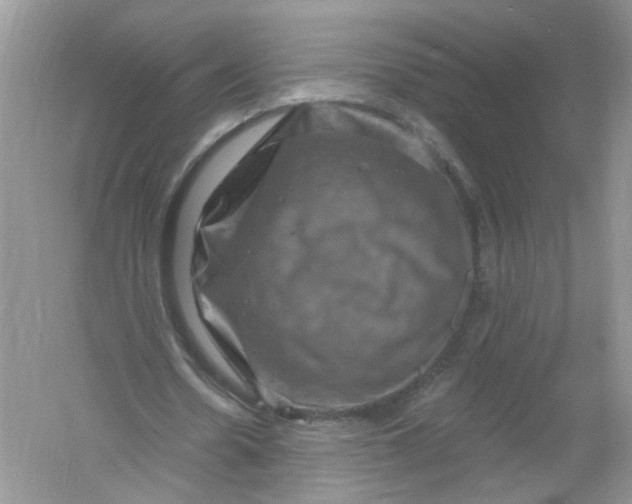 X0000061150530200512022317