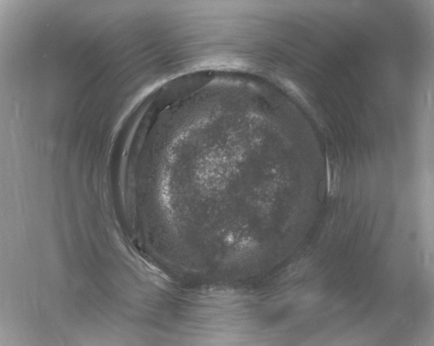 X0000061150531200512022317