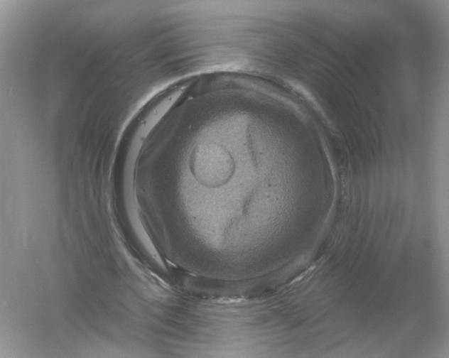 X0000061150532200512022317