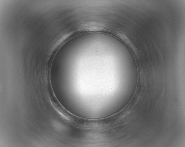 X0000061150533200512022317