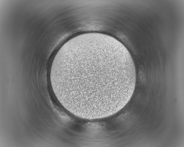 X0000061150534200512022317