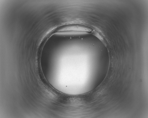 X0000061150535200512022317