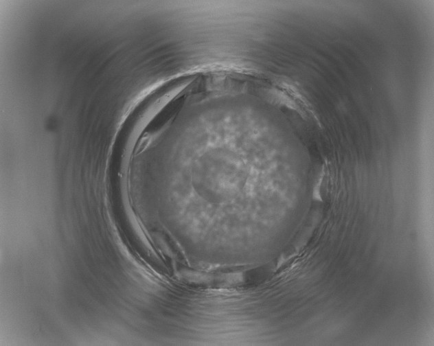 X0000061150536200512022317