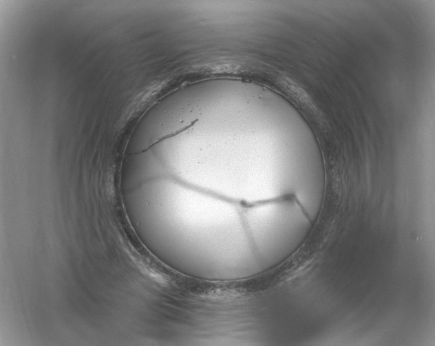 X0000061150537200512022317