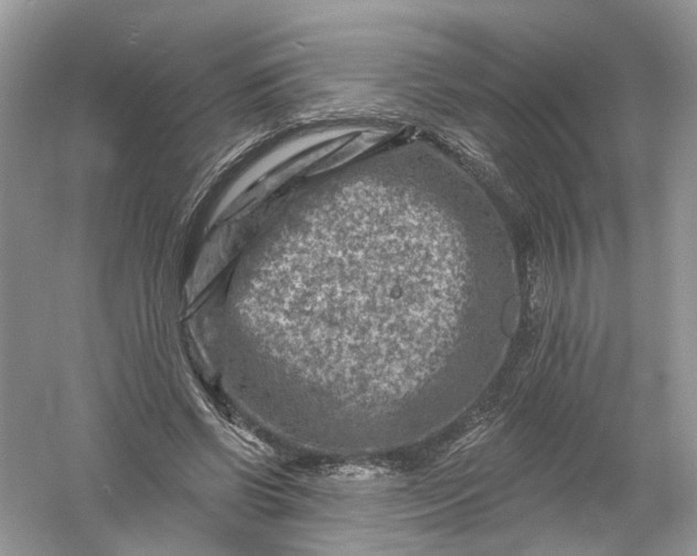 X0000061150542200512022317