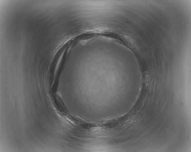 X0000061150544200512022317