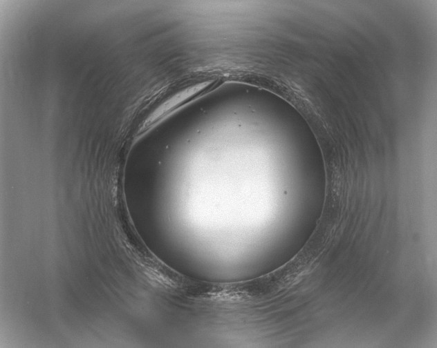 X0000061150545200512022317