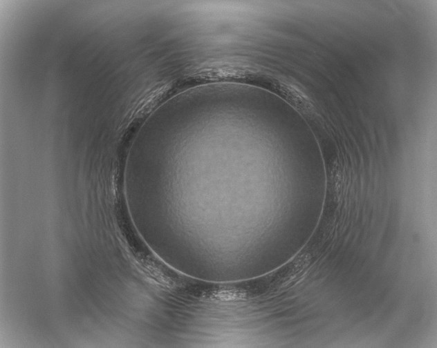 X0000061150546200512022317