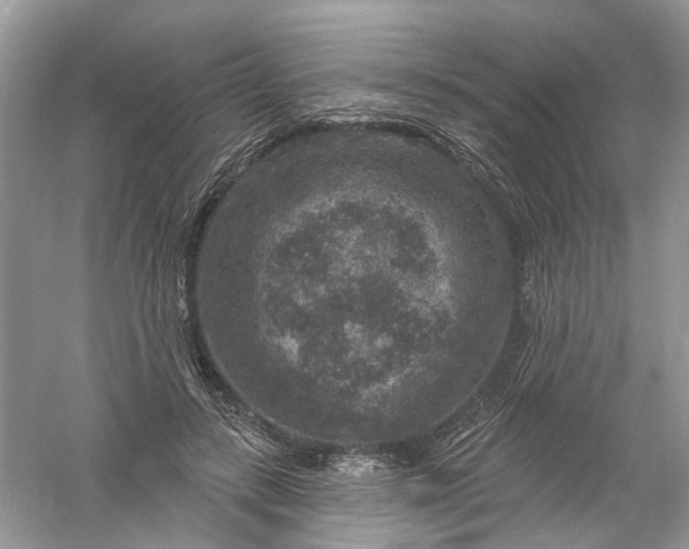 X0000061150547200512022317