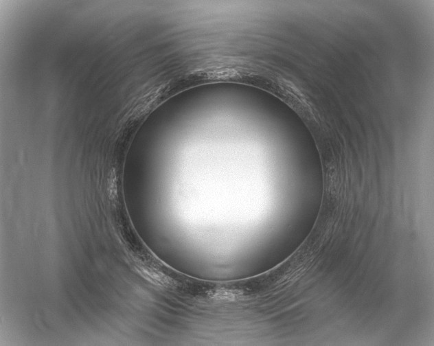 X0000061150549200512022317