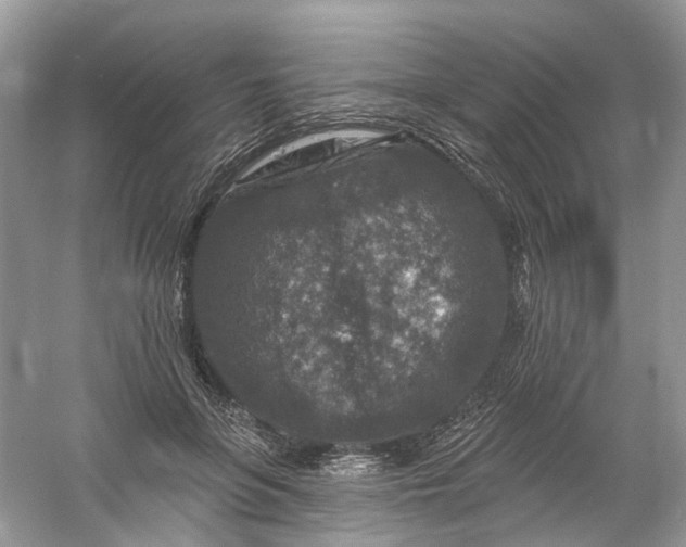 X0000061150551200512022317