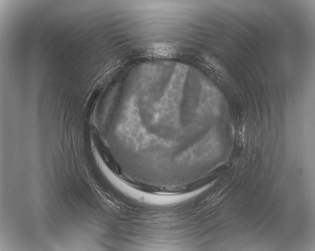 X0000061150552200512022317