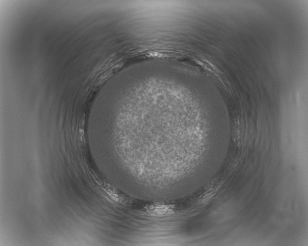 X0000061150553200512022317