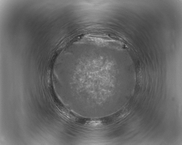 X0000061150554200512022317