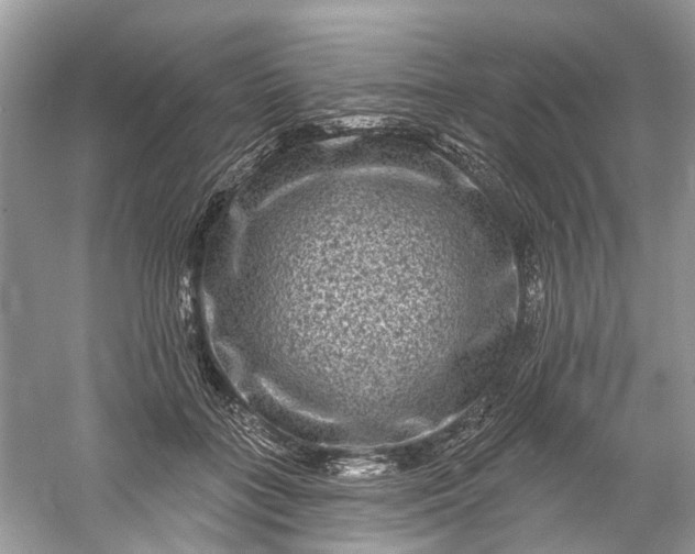 X0000061150555200512022317