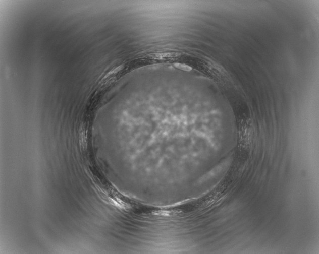 X0000061150558200512022317