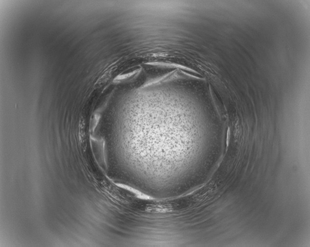 X0000061150559200512022317