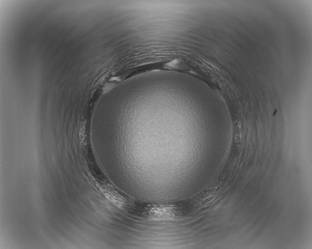 X0000061150560200512022317