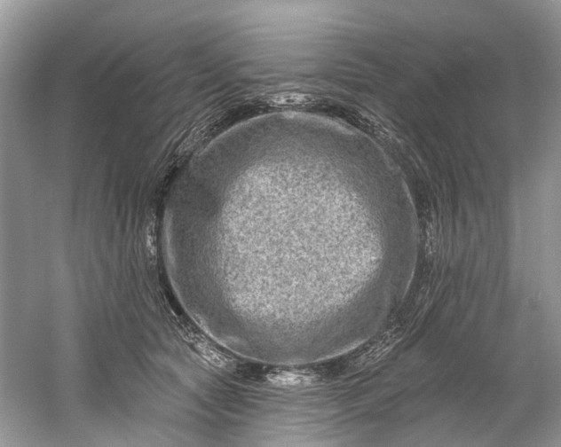 X0000061150561200512022317