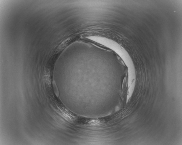 X0000061150562200512022317