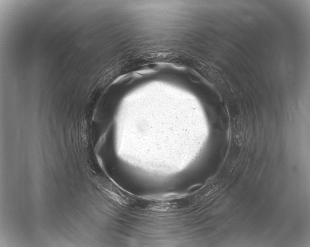 X0000061150563200512022317