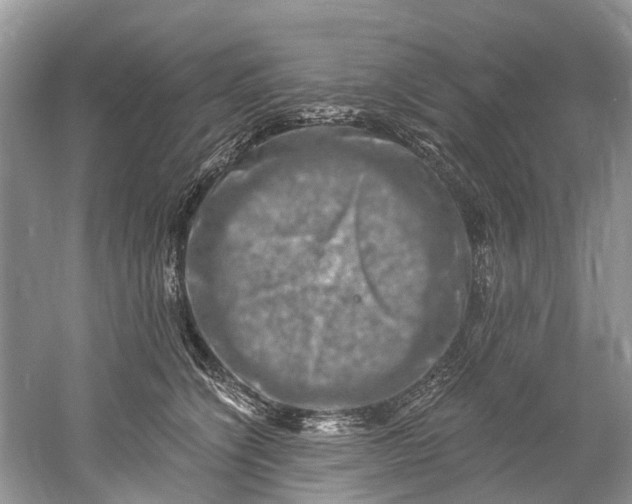 X0000061150564200512022317