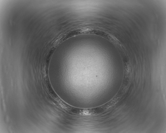 X0000061150565200512022317