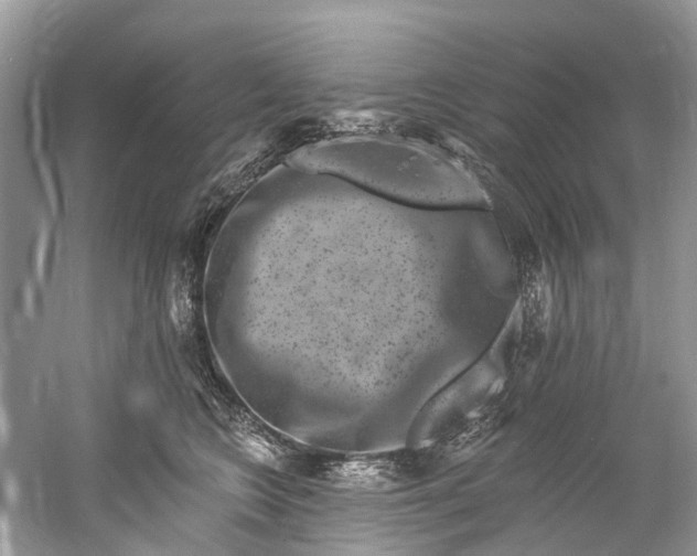 X0000061150566200512022317