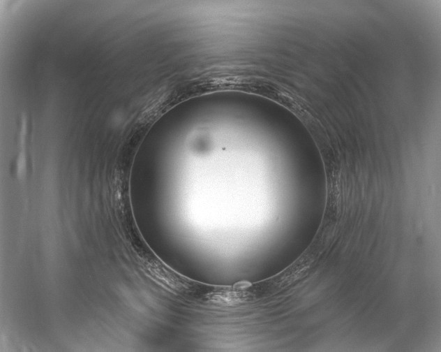 X0000061150567200512022317