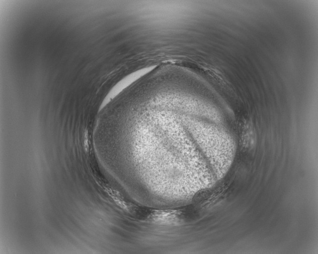 X0000061150569200512022317