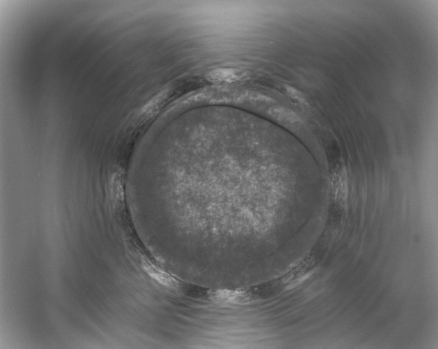 X0000061150570200512022317