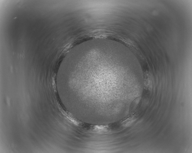 X0000061150573200512022317