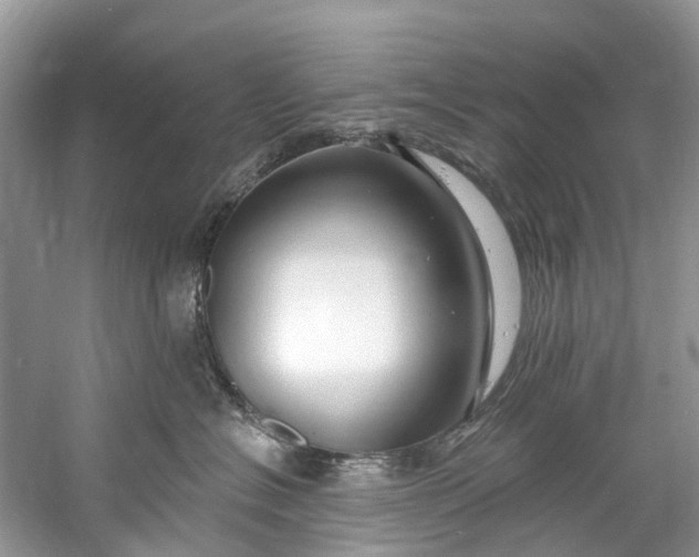 X0000061150574200512022318