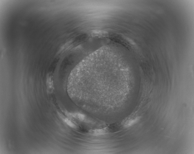 X0000061150576200512022318