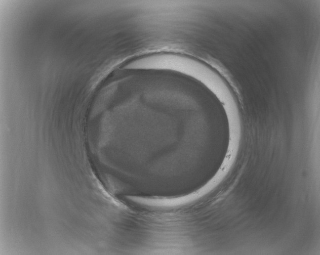 X0000061150577200512022317