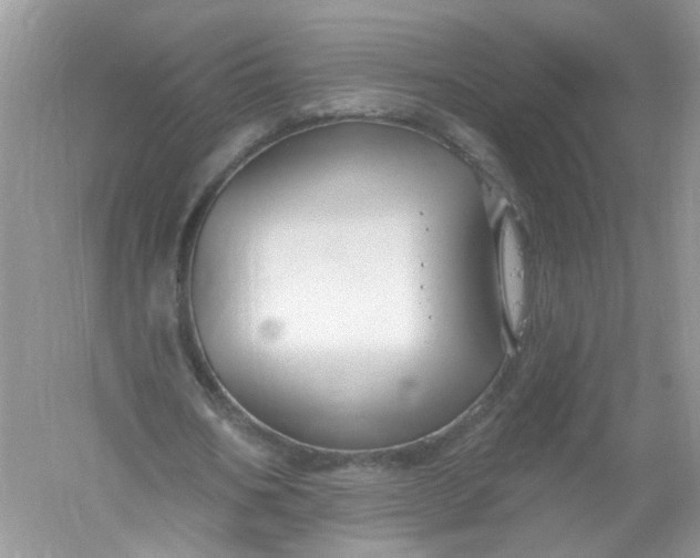 X0000061150578200512022317