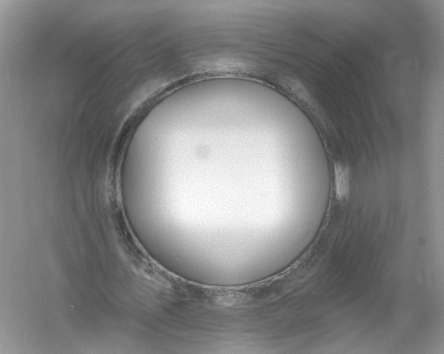 X0000061150579200512022317