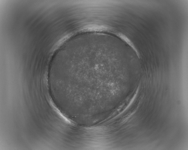 X0000061150581200512022317