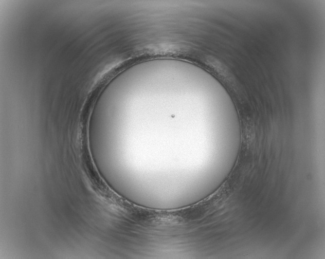 X0000061150583200512022317