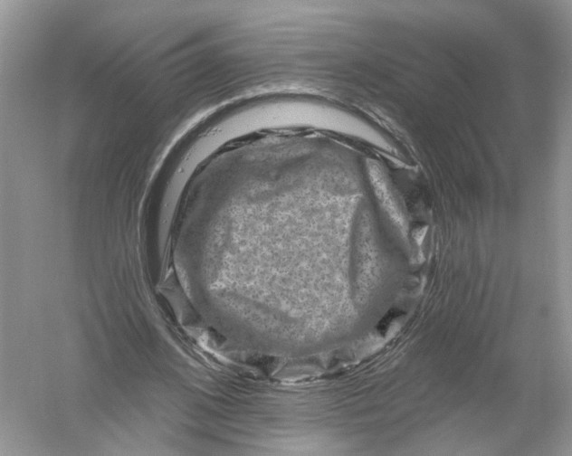 X0000061150584200512022317