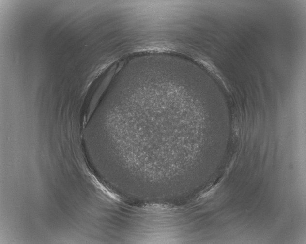 X0000061150585200512022317