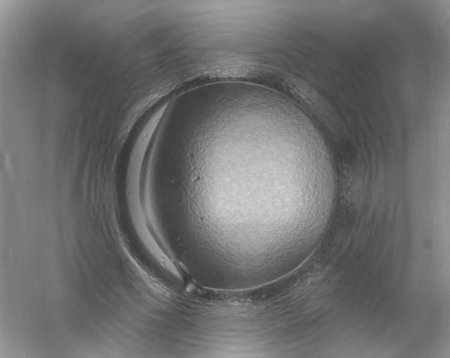 X0000061150586200512022317