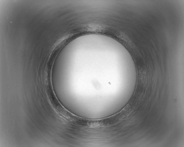 X0000061150587200512022317