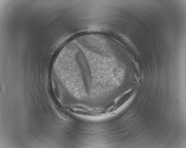 X0000061150588200512022316