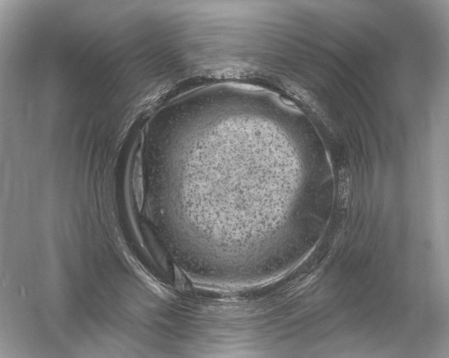 X0000061150589200512022316