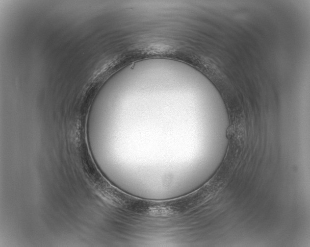 X0000061150591200512022316