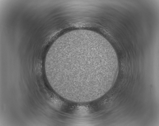 X0000061150592200512022316